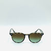 Occhiale da sole Ray Ban  RB 4259  731/E8  51/20