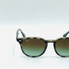 Occhiale da sole Ray Ban  RB 4259  731/E8  51/20